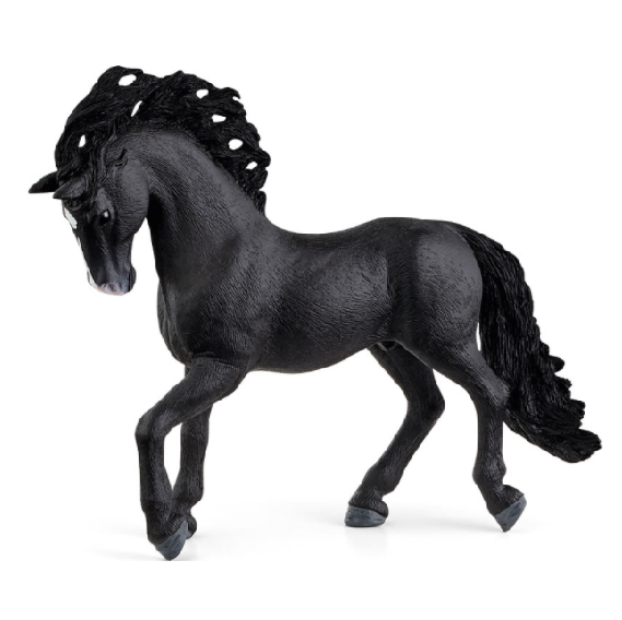 The Pura Raza Española Stallion 13923