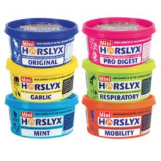Horslyx