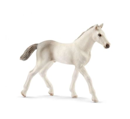 Schleich Holsteiner Foal 13860