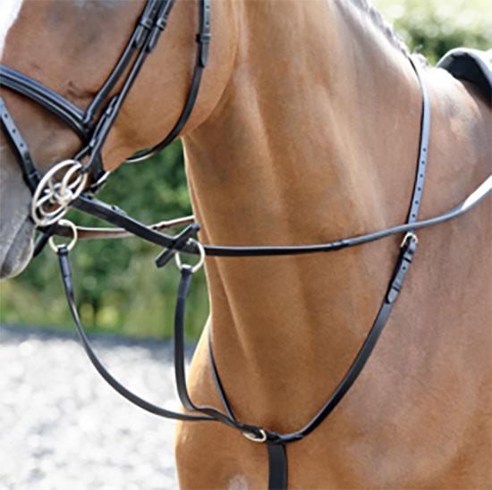 Whitaker Barton Martingale
