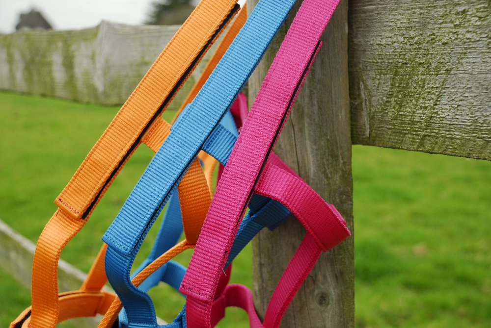 Rhinegold Field Safe Headcollar