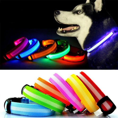 Light Up Dog Collar