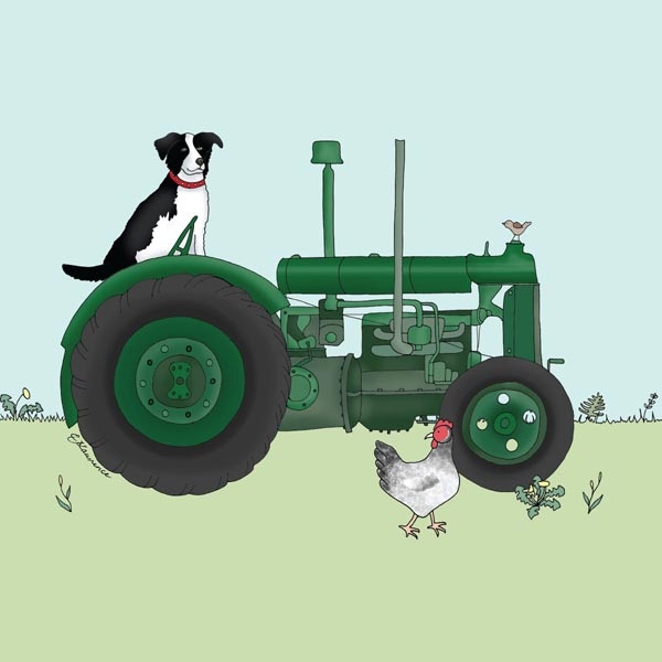 Greetings Cards: Field and Farm