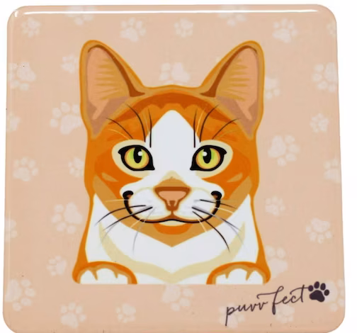 Pet Coasters- Cat- Ginger and White