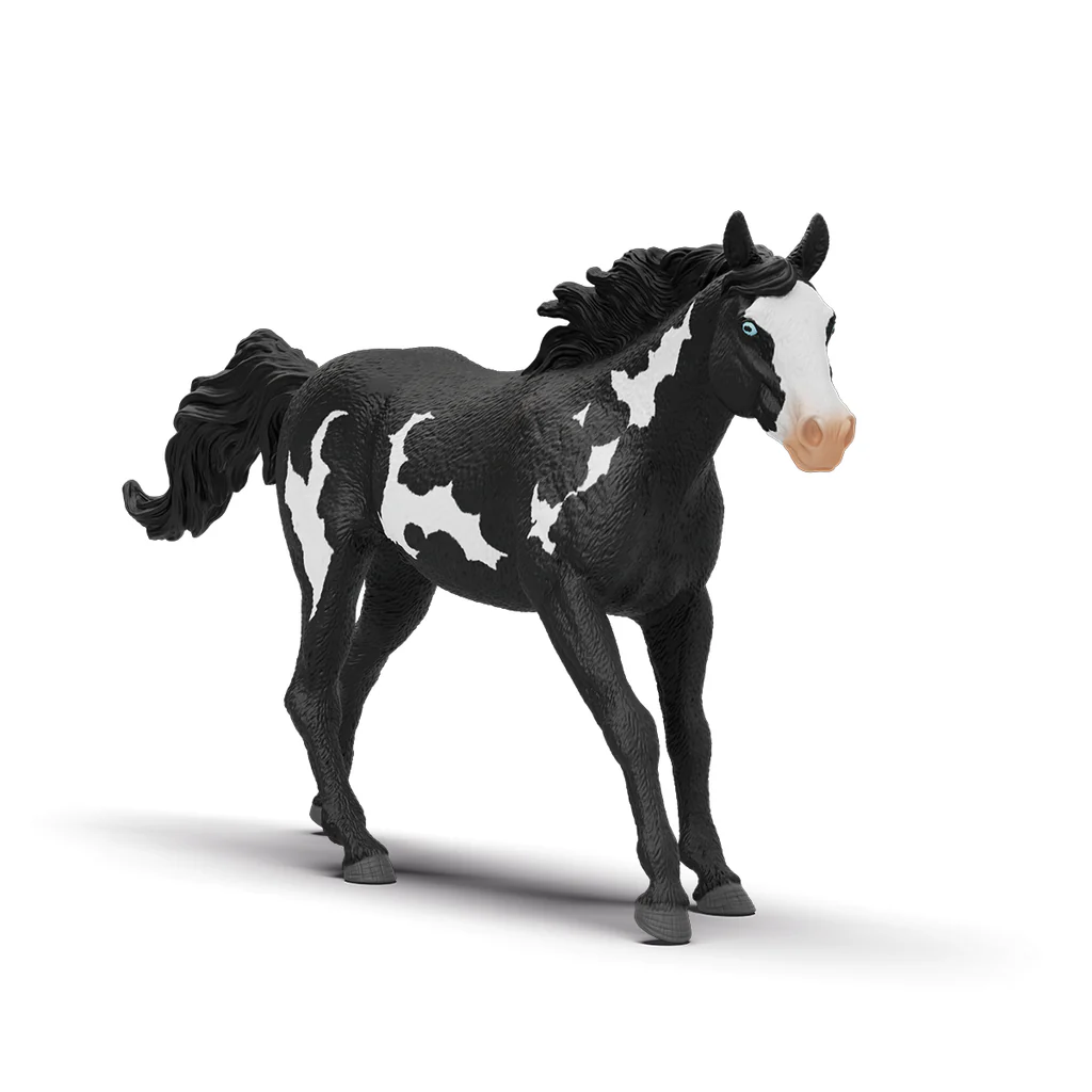 Paint Horse Gelding 14900
