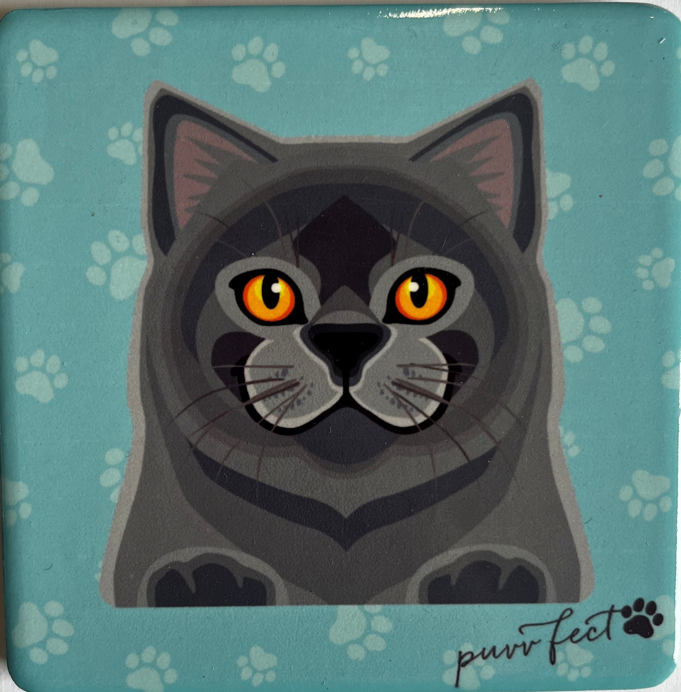 Pet Coasters - Cat - Shorthair