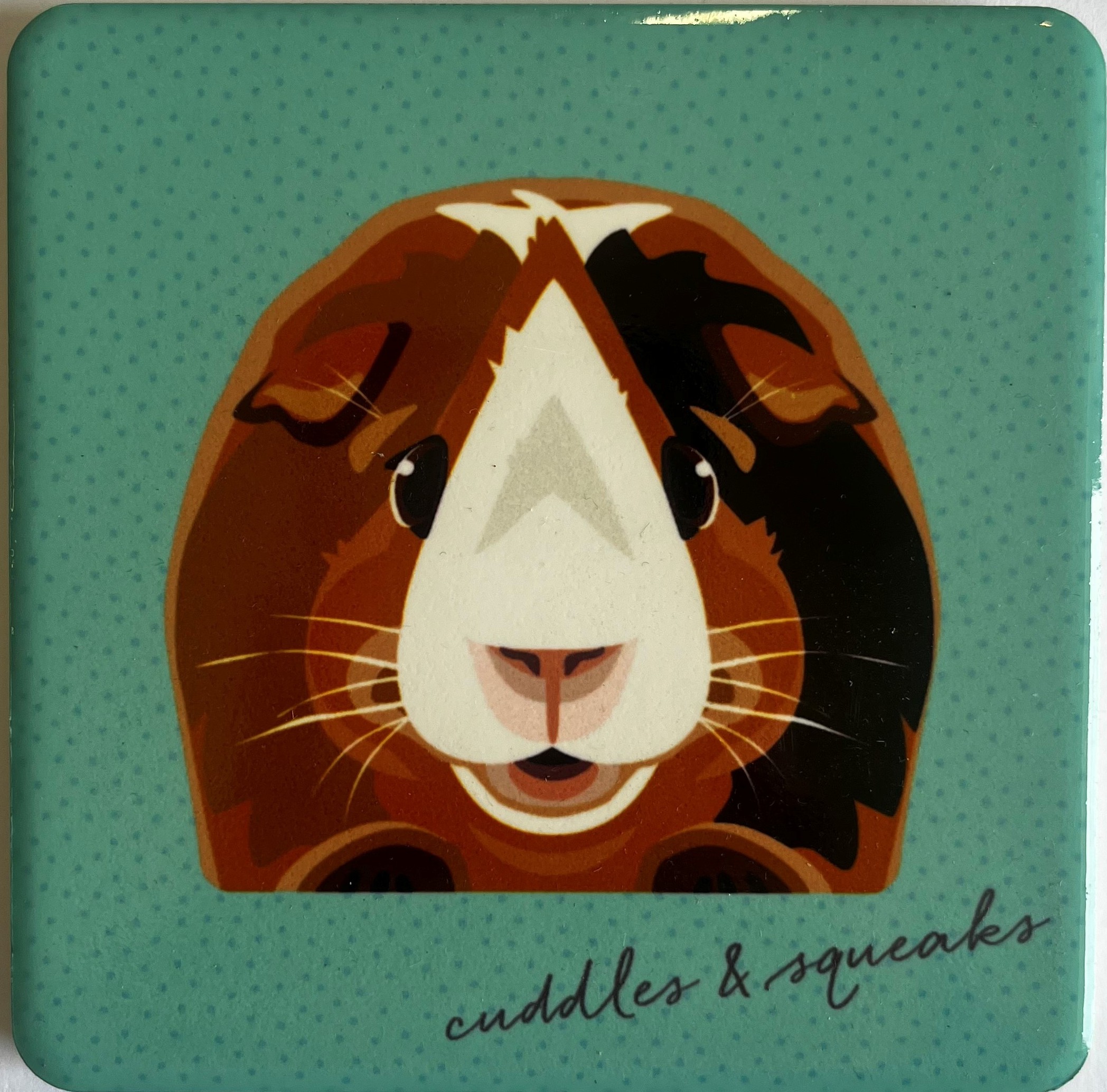 Pet Coasters - Guinea Pig - Tri Colour