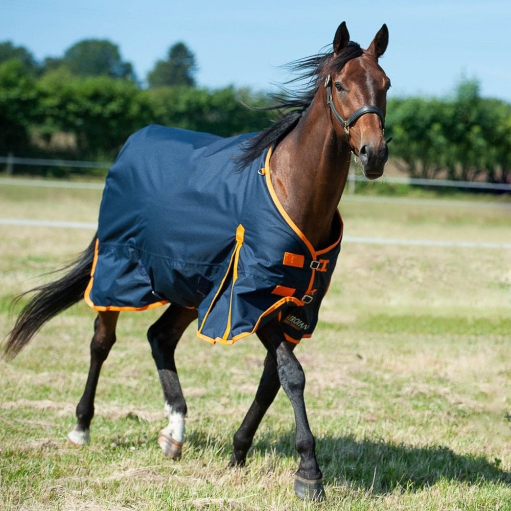 turnout rug