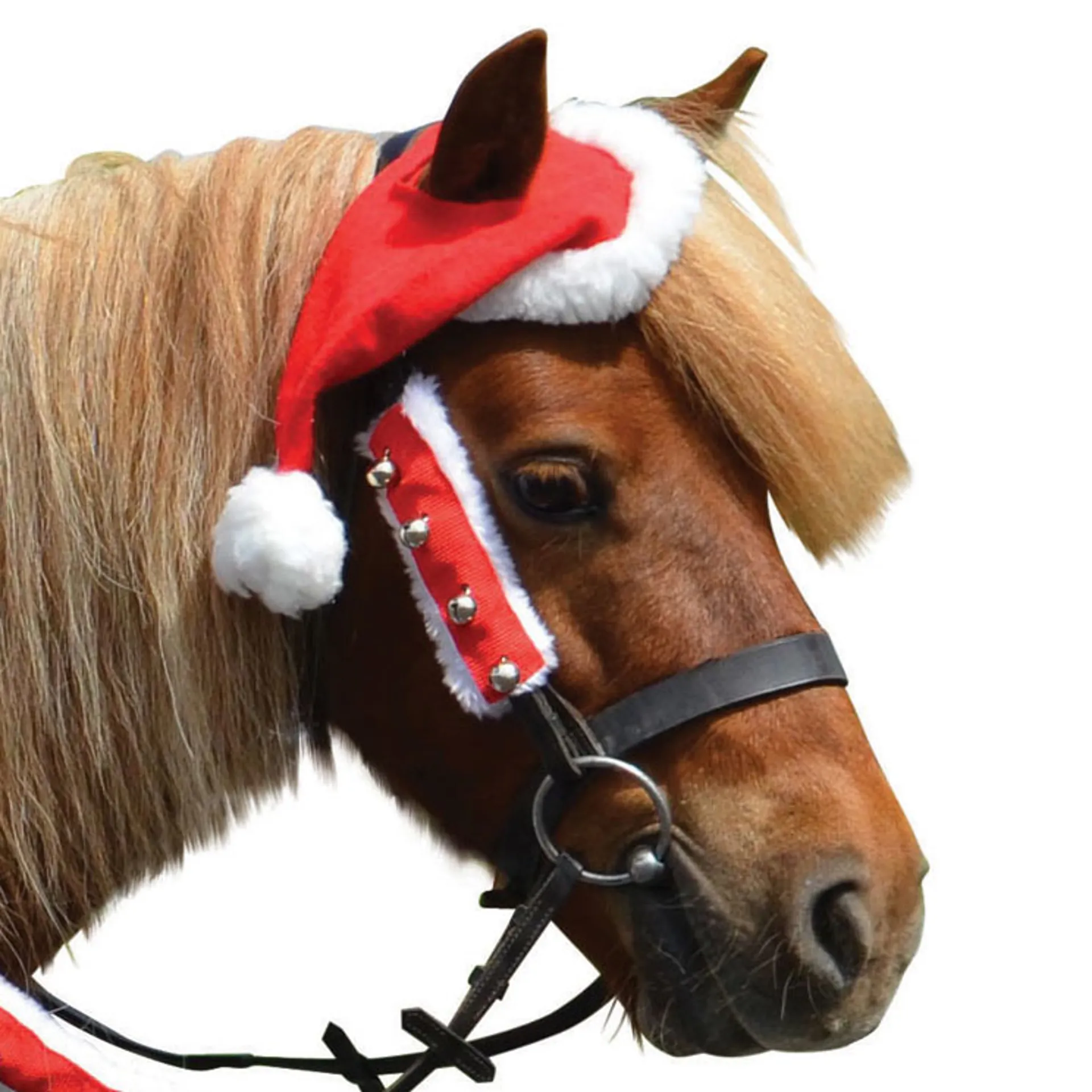 Hy Equestrian Christmas Santa Hat