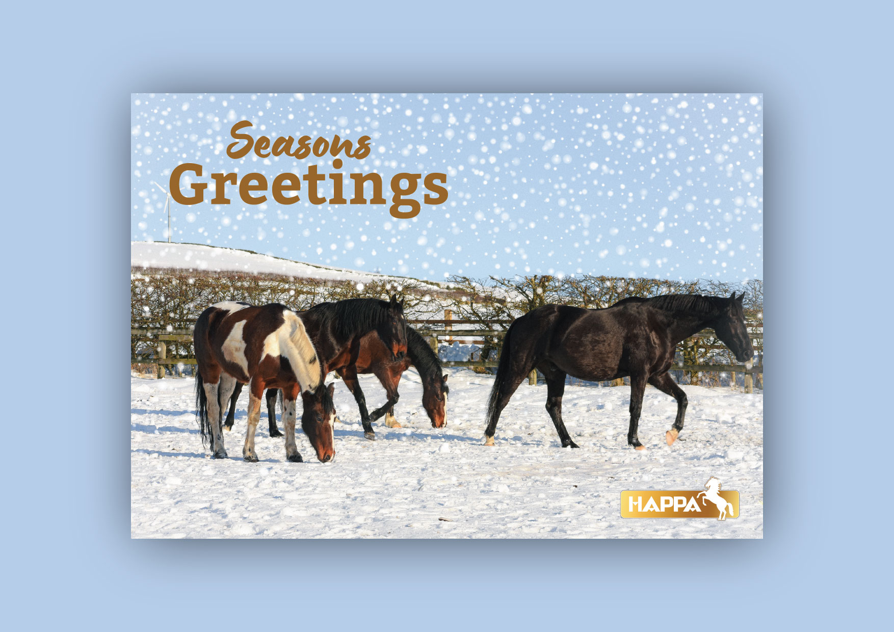 HAPPA Christmas Cards