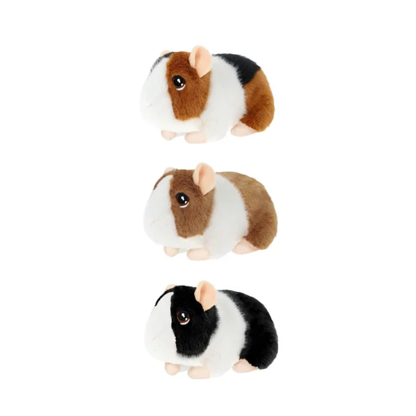 keeleco guinea pig