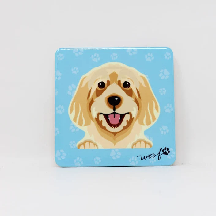 Goldendoodle
